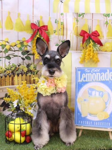 20240406ニーナちゃん 